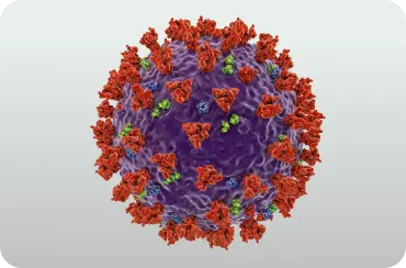 Anti-Viral Treatments